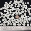1,000 Carats Handpicked Tumbled Stones Crystals Chips Bulk Pocket Stones for Healing, Reiki, Meditation, Witchcraft and Home Decorations (Kiwi Jasper) view 3