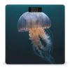 3D Jellyfish Bathroom Scale Weight Scale for Body Weight,Highly Accurate Digital Weighing Machine Clear LED Display Digital Bathroom Body Scale 400lb/182kg view 1