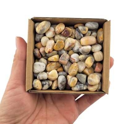 1,000 Carats Crazy Lace Agate Handpicked Tumbled Stones Crystals Chips Bulk Pocket Stones for Healing, Reiki, Meditation, Witchcraft and Home Decorations (Crazy Lace Agate)