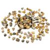 1,000 Carats Crazy Lace Agate Handpicked Tumbled Stones Crystals Chips Bulk Pocket Stones for Healing, Reiki, Meditation, Witchcraft and Home Decorations (Crazy Lace Agate) view 2