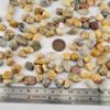 1,000 Carats Crazy Lace Agate Handpicked Tumbled Stones Crystals Chips Bulk Pocket Stones for Healing, Reiki, Meditation, Witchcraft and Home Decorations (Crazy Lace Agate) view 3