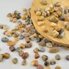 1,000 Carats Crazy Lace Agate Handpicked Tumbled Stones Crystals Chips Bulk Pocket Stones for Healing, Reiki, Meditation, Witchcraft and Home Decorations (Crazy Lace Agate) view 4