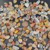 1,000 Carats Phantom Quartz Handpicked Tumbled Stones Crystals Chips 0.2''-0.5'' Bulk Pocket Stones for Healing, Reiki, Meditation, Witchcraft and Home Decorations (Mix Phantom Quartz) view 3