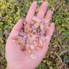 1,000 Carats Phantom Quartz Handpicked Tumbled Stones Crystals Chips 0.2''-0.5'' Bulk Pocket Stones for Healing, Reiki, Meditation, Witchcraft and Home Decorations (Mix Phantom Quartz) view 4