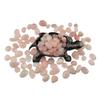 1,000 Carats Rose Quartz Handpicked Tumbled Stones Crystals Chips Bulk Pocket Stones for Healing, Reiki, Meditation, Witchcraft and Home Decorations (Rose Quartz) view 2