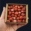 1,000 Carats Red Jasper Handpicked Tumbled Stones Crystals Chips 0.3''-0.5'' Bulk Pocket Stones for Healing, Reiki, Meditation, Witchcraft and Home Decorations (Red Jasper) view 1