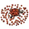 1,000 Carats Red Jasper Handpicked Tumbled Stones Crystals Chips 0.3''-0.5'' Bulk Pocket Stones for Healing, Reiki, Meditation, Witchcraft and Home Decorations (Red Jasper) view 2