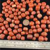 1,000 Carats Red Jasper Handpicked Tumbled Stones Crystals Chips 0.3''-0.5'' Bulk Pocket Stones for Healing, Reiki, Meditation, Witchcraft and Home Decorations (Red Jasper) view 3