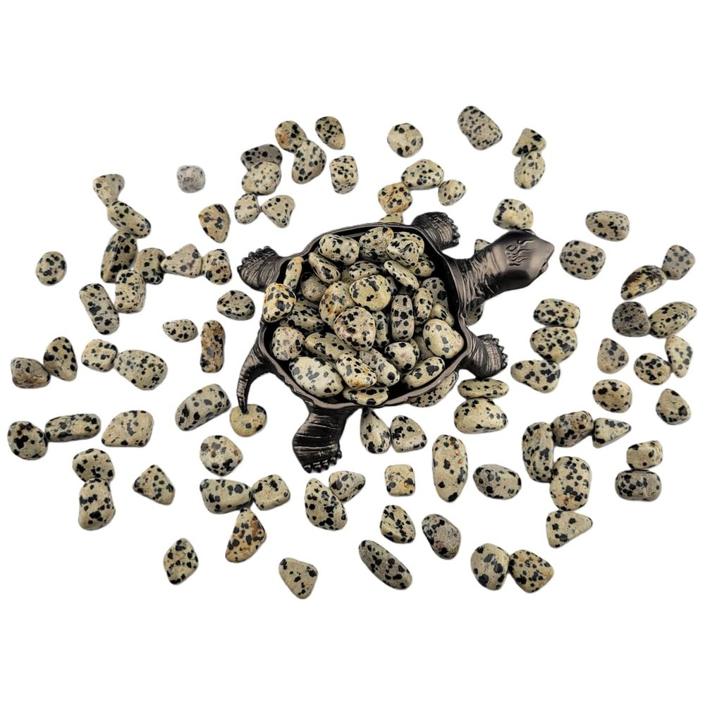 1,000 Carats Dalmation Jasper Handpicked Tumbled Stones Crystals Chips 0.2''-0.5'' Bulk Pocket Stones for Healing, Reiki, Meditation, Witchcraft and Home Decorations (Dalmation Jasper)
