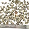 1,000 Carats Dalmation Jasper Handpicked Tumbled Stones Crystals Chips 0.2''-0.5'' Bulk Pocket Stones for Healing, Reiki, Meditation, Witchcraft and Home Decorations (Dalmation Jasper) view 2