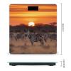 Africa Sunset Zebra Bathroom Scale Weight Scale for Body Weight,Highly Accurate Digital Weighing Machine Clear LED Display Digital Bathroom Body Scale 400lb/182kg view 2