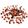 1,000 Carats Red Agate Handpicked Tumbled Stones Crystals Chips 0.3''-0.5'' Bulk Fountain Rocks Pocket Stones for Healing, Reiki, Meditation, Witchcraft,Home Decorations (Red Agate) view 2