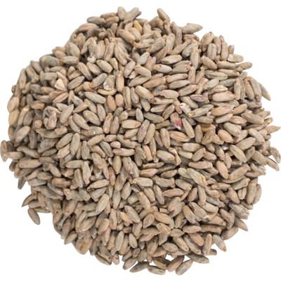 Rye Malt 1 lb Grain for Home Brewing Beer or Distilling Moonshine, Whiskey