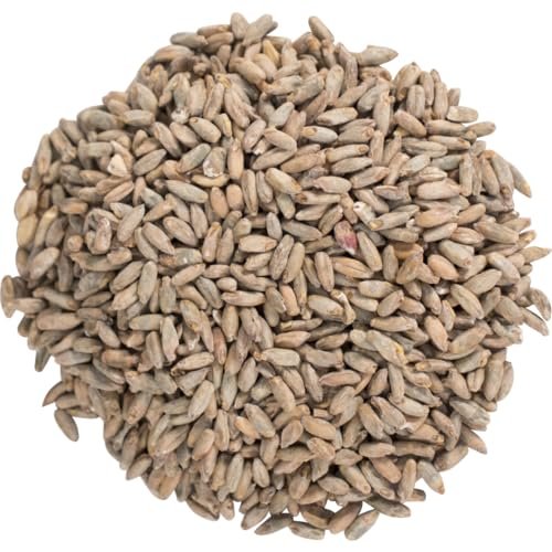 Rye Malt 1 lb Grain for Home Brewing Beer or Distilling Moonshine, Whiskey