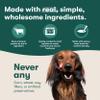 Jinx Wet Dog Food Toppers, Homemades Variety 6 Pack - Chicken & Grain Free Chicken & Salmon - Meal & Mix in Dry Dog Food Toppers Made with Real Ingredients, No Fillers - Puppy, Adult & Senior - 9oz view 4