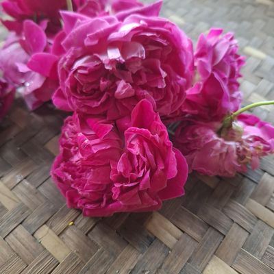 Dried Red Rose Petals (450 gram)