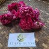 Dried Red Rose Petals (450 gram) view 2