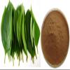 Bright sunlight Persimmon Leaves Extract 20:1 Powder 1.1LB view 2