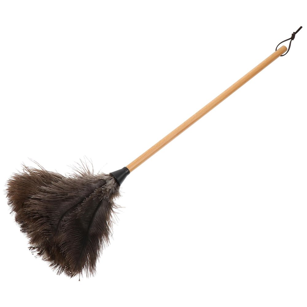 VICASKY Soft Bristle Duster with Beech Wood Handle for Home and Furniture Dust Cleaning, Long Handle Household Dust Removal Tool for Desktop and Office Use