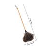 VICASKY Soft Bristle Duster with Beech Wood Handle for Home and Furniture Dust Cleaning, Long Handle Household Dust Removal Tool for Desktop and Office Use view 2