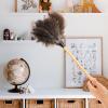 VICASKY Soft Bristle Duster with Beech Wood Handle for Home and Furniture Dust Cleaning, Long Handle Household Dust Removal Tool for Desktop and Office Use view 3