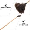 VICASKY Soft Bristle Duster with Beech Wood Handle for Home and Furniture Dust Cleaning, Long Handle Household Dust Removal Tool for Desktop and Office Use view 4