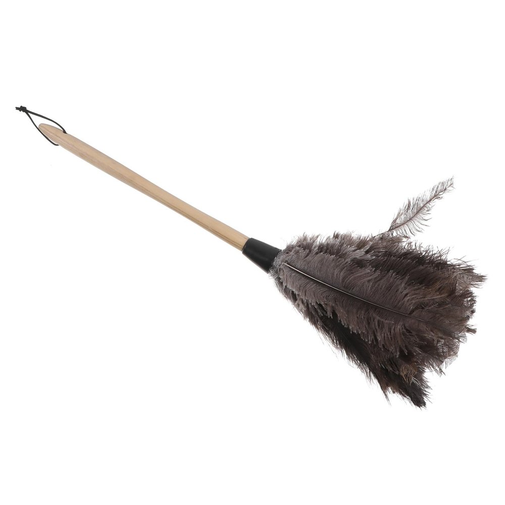 Abaodam Retractable Handle Natural Plumage Duster, Static Electricity Dust Cleaner for Home and Car, Soft Black for Furniture and Ceiling Fan Cleaning