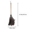 Abaodam Retractable Handle Natural Plumage Duster, Static Electricity Dust Cleaner for Home and Car, Soft Black for Furniture and Ceiling Fan Cleaning view 2