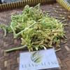 Bunga Pepaya (Carica Papaya) Flower Dried (900 gram) view 3