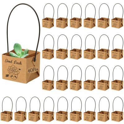 40 Pcs Mini Succulent Favor Boxes, Good Luck Paper Gift Bags With Handles, Square Plant Pots For Parties