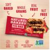 Natures Bakery Fig Bars Variety Pack, 28 Count (4 Bars per Pack, 7 Flavors: Strawberry, Blueberry, Raspberry, Apple Cinnamon, Original Fig, Peach Apricot & Double Chocolate Brownie) | Whole Grain, Vegan Snacks view 2