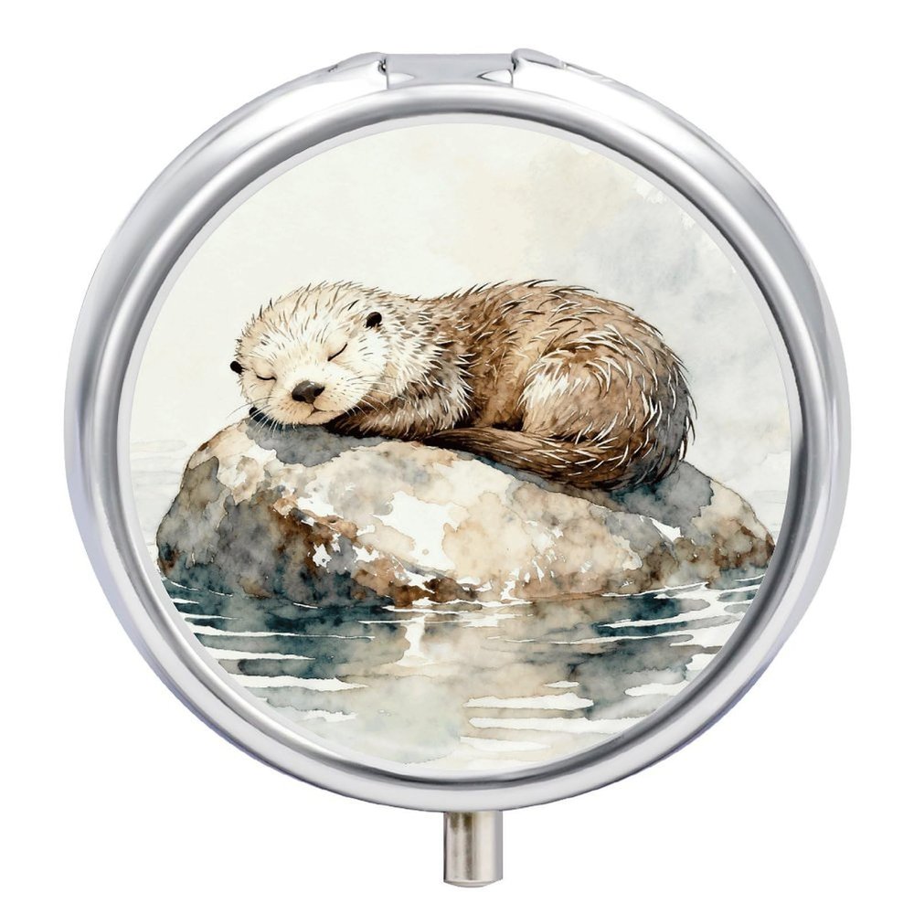 Stone on The Otter's Rest Pill Box Round Weekly Pills Organizer with Mirror 3 Compartments Portable Travel Pills Container Cute Pill Case for Fish Oil Supplements