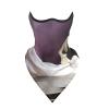 FHEDVBN White Swan Ski Mask UPF 50+ Balaclava - Windproof Face Cover for Men Women Cooling Summer Half Face Mask Scarf Sun UV Protection Neck Gaiter for Outdoor Activities view 3