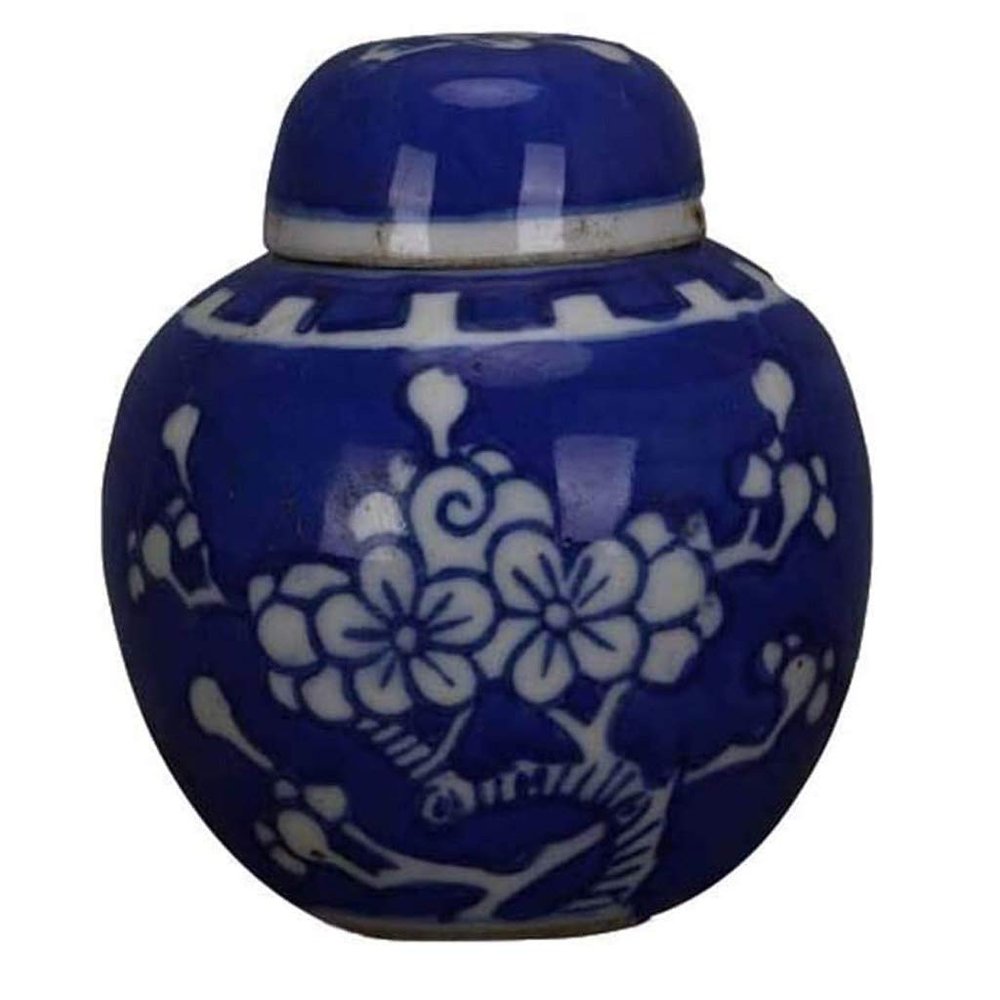 YMGSCC Memorial Container Pet Ashes Urn Handpainted Ceramics Cremation Bird Ash Holder Burial at Home