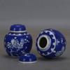 YMGSCC Memorial Container Pet Ashes Urn Handpainted Ceramics Cremation Bird Ash Holder Burial at Home view 2
