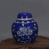 YMGSCC Memorial Container Pet Ashes Urn Handpainted Ceramics Cremation Bird Ash Holder Burial at Home view 4