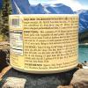1 Pack - Curry Soup Base - Cot Sup Ca Ri - 10 Oz per Jar - Product of USA view 4