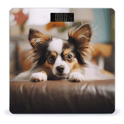 Papillon Lying on Tummy Weight Scale for Body Weight Digital Bathroom Scale High Capacity Accurate Digital Weighing Scales and Easy-to-Read on Backlit LCD Display Scales