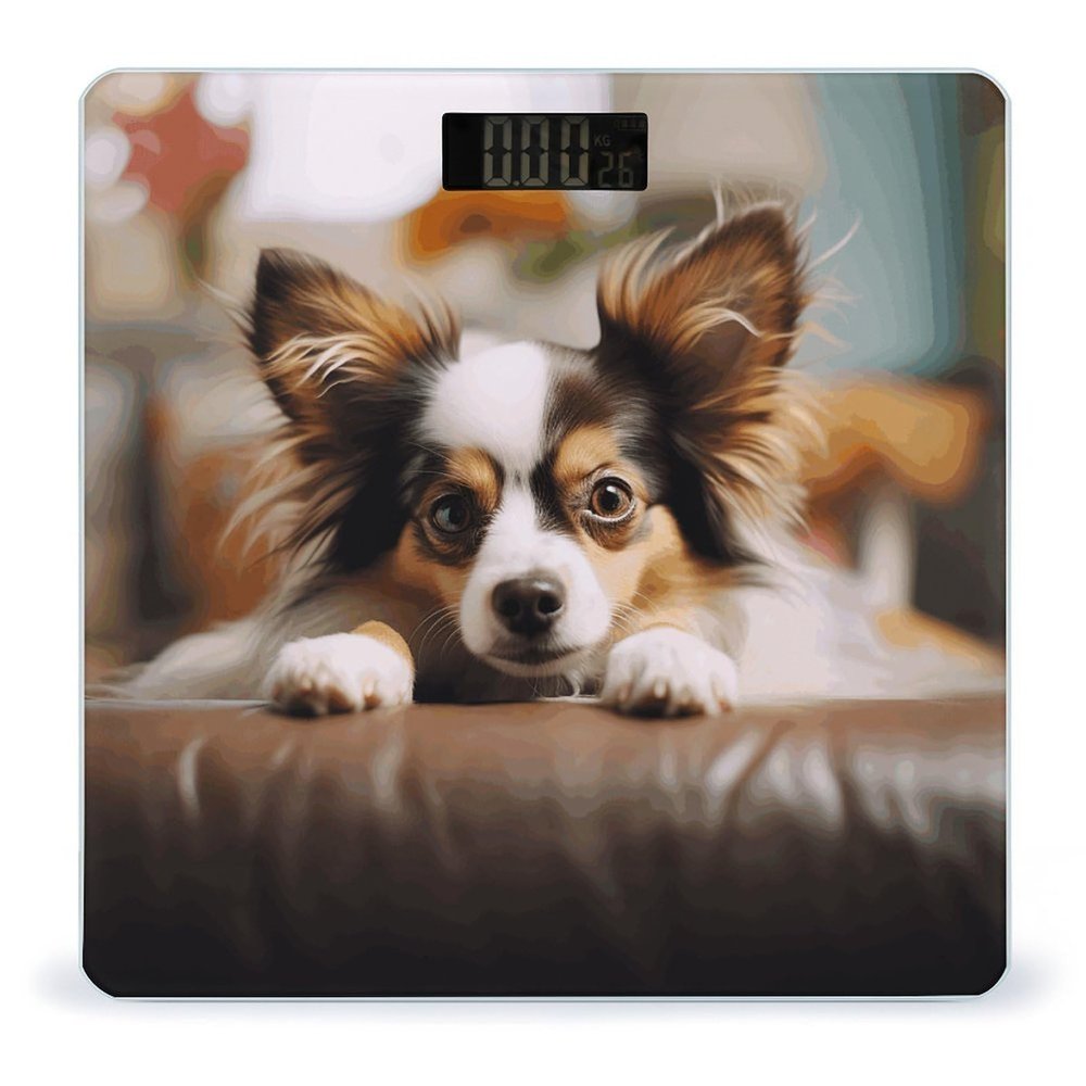 Papillon Lying on Tummy Weight Scale for Body Weight Digital Bathroom Scale High Capacity Accurate Digital Weighing Scales and Easy-to-Read on Backlit LCD Display Scales