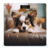 Papillon Lying on Tummy Weight Scale for Body Weight Digital Bathroom Scale High Capacity Accurate Digital Weighing Scales and Easy-to-Read on Backlit LCD Display Scales view 1