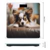 Papillon Lying on Tummy Weight Scale for Body Weight Digital Bathroom Scale High Capacity Accurate Digital Weighing Scales and Easy-to-Read on Backlit LCD Display Scales view 2