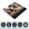 Papillon Lying on Tummy Weight Scale for Body Weight Digital Bathroom Scale High Capacity Accurate Digital Weighing Scales and Easy-to-Read on Backlit LCD Display Scales view 3