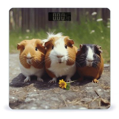 Guinea Pigs Funny Weight Scale for Body Weight Digital Bathroom Scale High Capacity Accurate Digital Weighing Scales and Easy-to-Read on Backlit LCD Display Scales