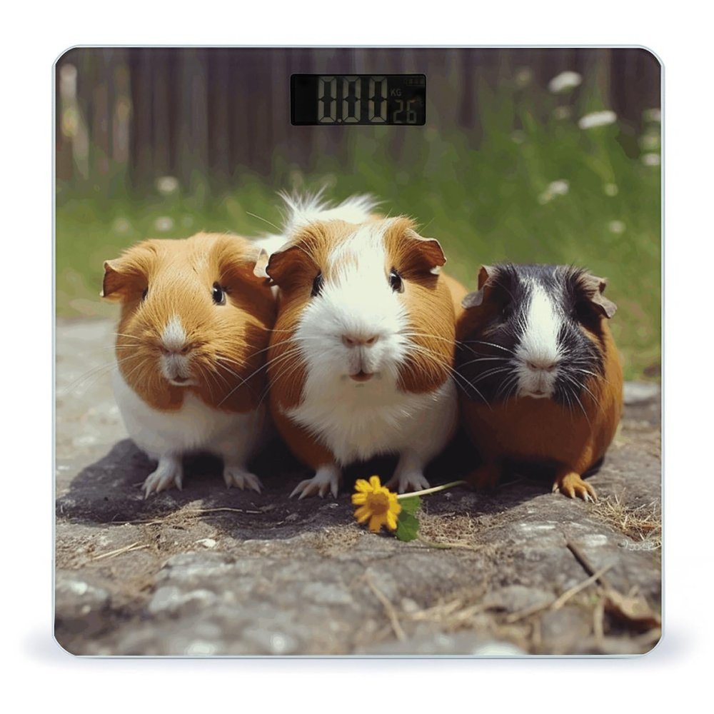 Guinea Pigs Funny Weight Scale for Body Weight Digital Bathroom Scale High Capacity Accurate Digital Weighing Scales and Easy-to-Read on Backlit LCD Display Scales