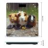 Guinea Pigs Funny Weight Scale for Body Weight Digital Bathroom Scale High Capacity Accurate Digital Weighing Scales and Easy-to-Read on Backlit LCD Display Scales view 2
