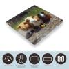 Guinea Pigs Funny Weight Scale for Body Weight Digital Bathroom Scale High Capacity Accurate Digital Weighing Scales and Easy-to-Read on Backlit LCD Display Scales view 3