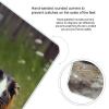 Guinea Pigs Funny Weight Scale for Body Weight Digital Bathroom Scale High Capacity Accurate Digital Weighing Scales and Easy-to-Read on Backlit LCD Display Scales view 4