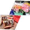DECORNIJIA Cellophane Packing Film Roll 44cm X 10m for Floral Wrapping and Craft, Wrap Paper for Basket and Bouquet Presentation view 3
