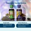 balaveda Wellness Shot Sampler USDA Organic Adaptogenic Energy, Immunity & Beauty Wellness Shots 12 Pack (2oz Glass Bottles) view 3