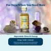balaveda Wellness Shot Sampler USDA Organic Adaptogenic Energy, Immunity & Beauty Wellness Shots 12 Pack (2oz Glass Bottles) view 4